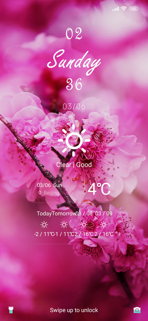 Beautiful Blossom screenshot