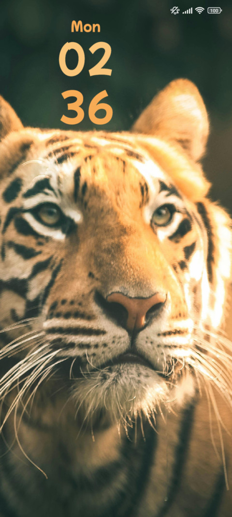 Tiger screenshot