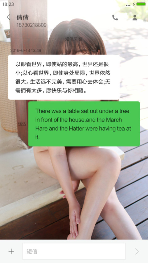 蓝色小海豚 screenshot