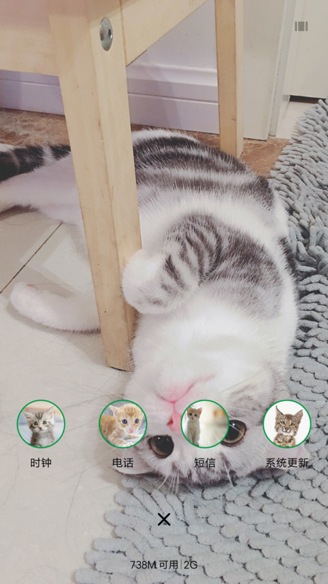 可爱猫咪 screenshot
