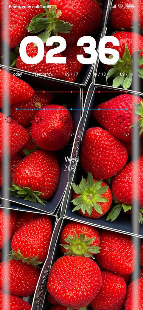 Red Strawberry screenshot
