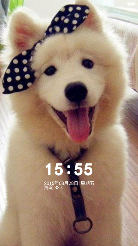 萌宠世界(五锁频壁纸) screenshot