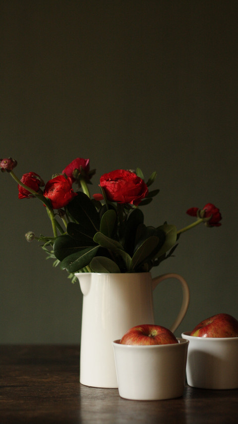 Put some peanuts in the flower pot 5 screenshot