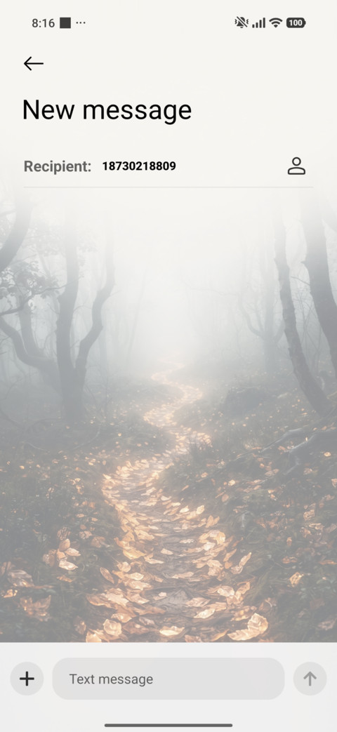 Misty Woodland screenshot