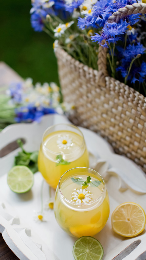 Glasses with Lemonade with Mint, Lime, Lemons and Orange screenshot