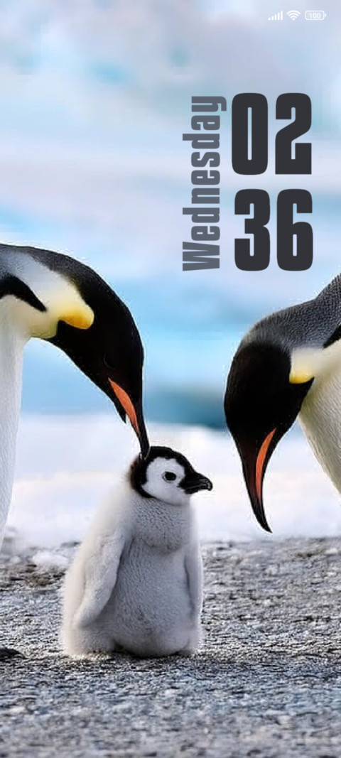 Penguin screenshot