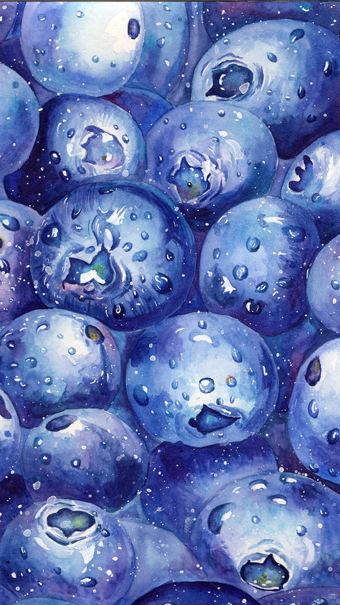 Watercolor Illustration Blueberry Covered Series screenshot
