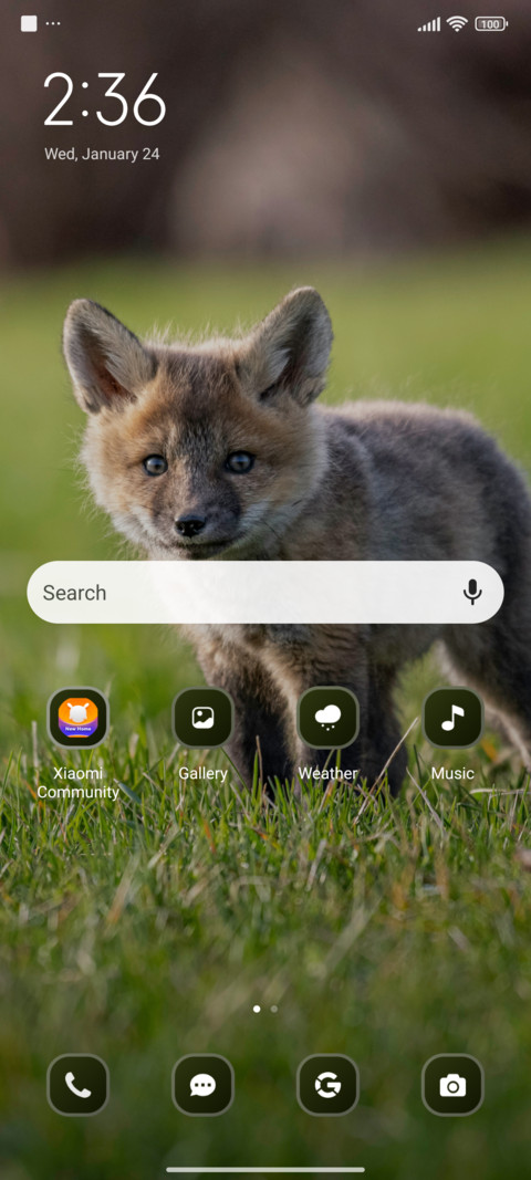 Baby Fox screenshot
