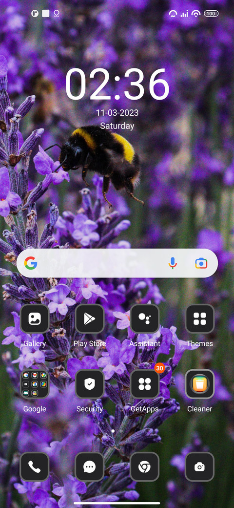 Bee screenshot
