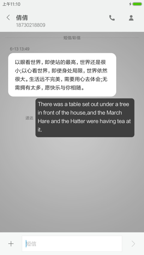 黑白灰简约（模拟时钟） screenshot