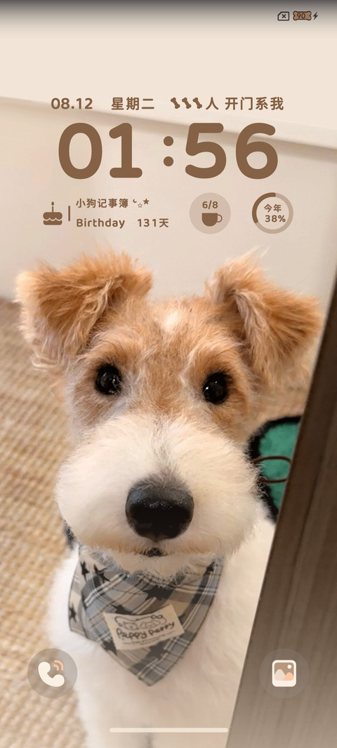 ins小狗开门系我 screenshot