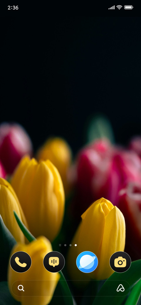 Tulip Ember screenshot