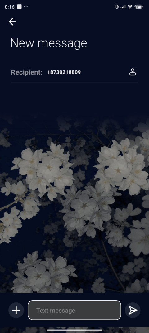 Pro Evening Sakura screenshot