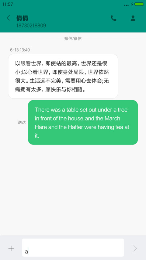 简约扁平主题 screenshot