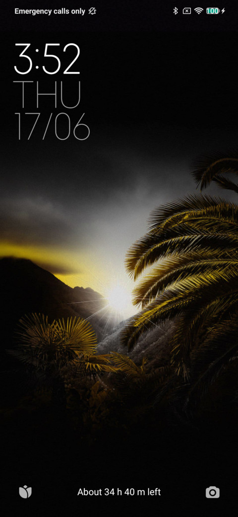 Jungle screenshot