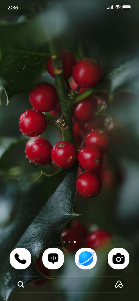 Winter Berries screenshot
