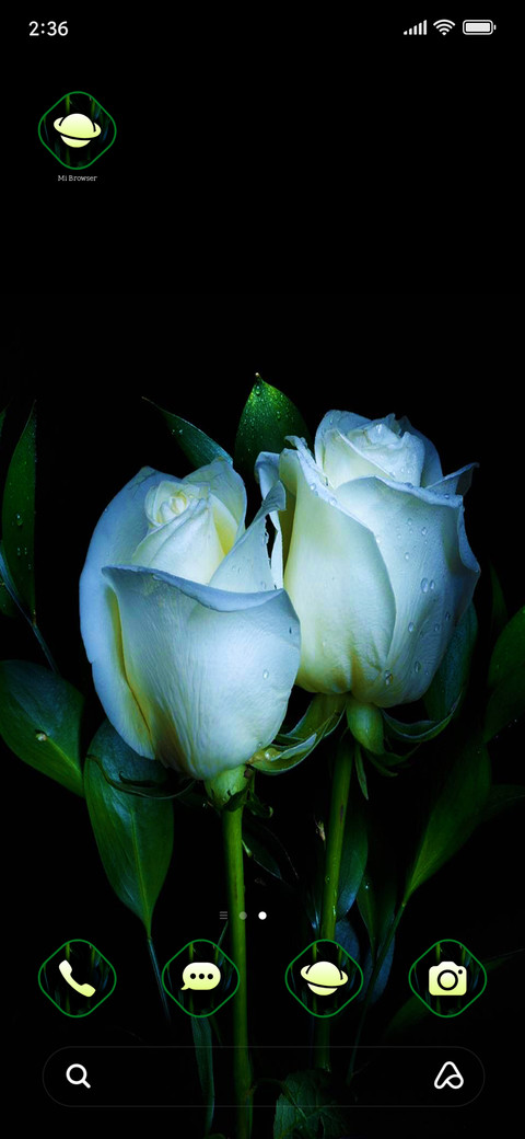 Rose view screenshot
