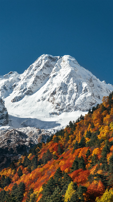 Autumn in the far north screenshot