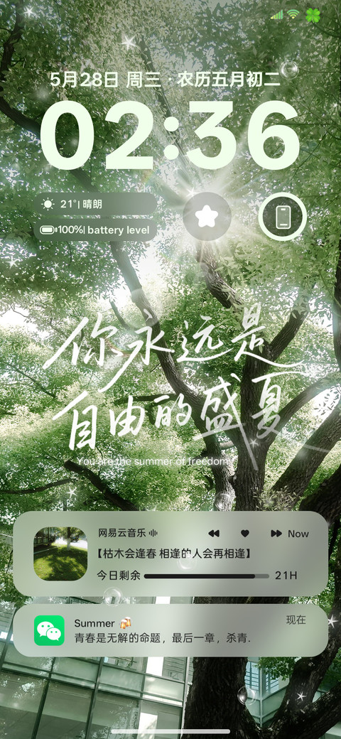 ins夏天以你为名 screenshot