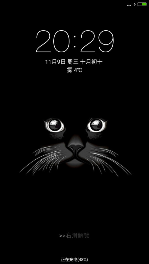 黑cat screenshot