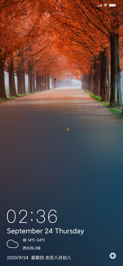 秋风落叶 screenshot