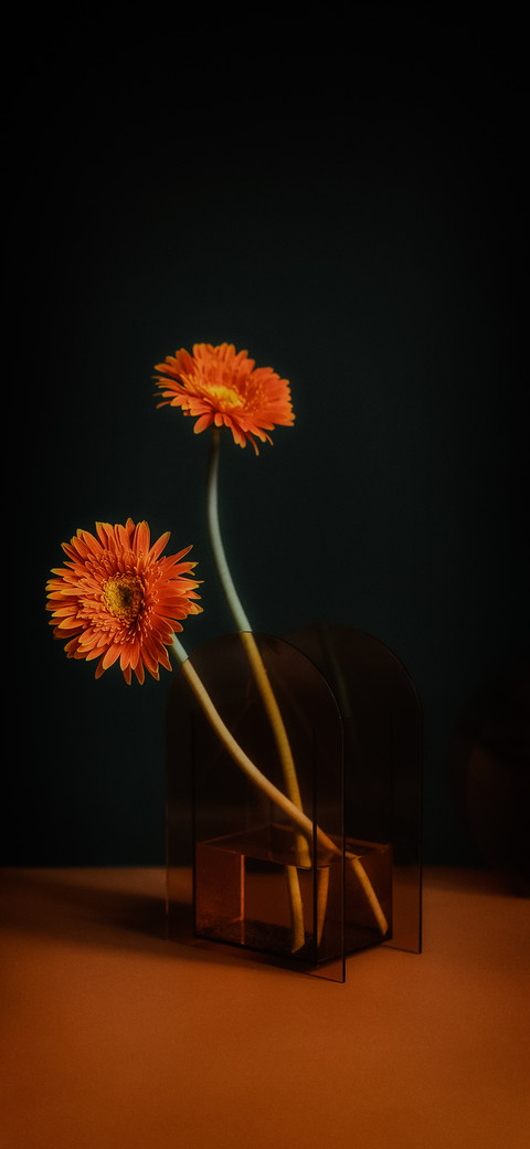 花事 screenshot