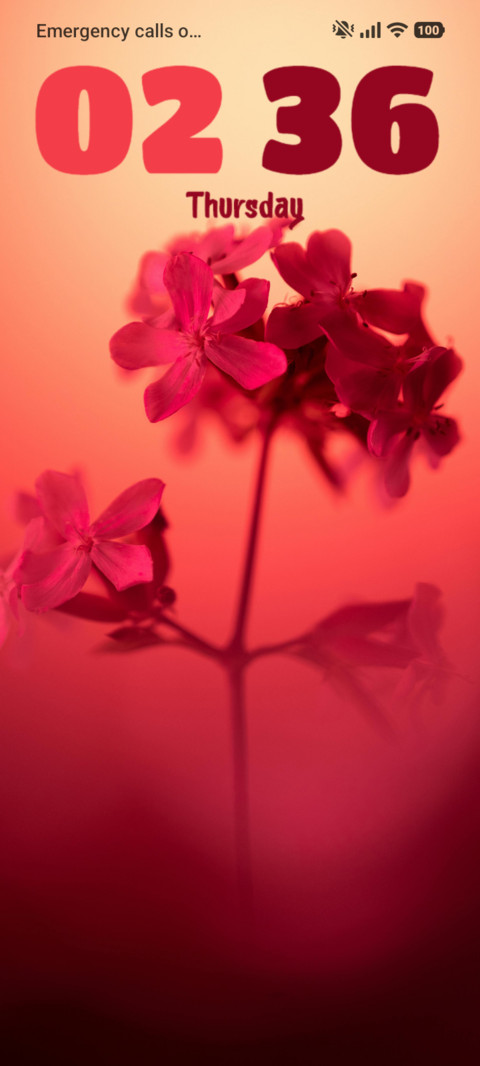 Flower screenshot