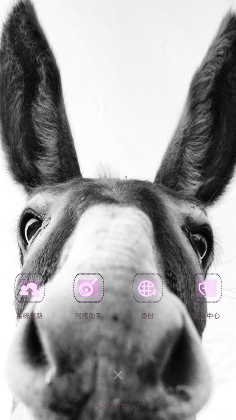 小毛驴 screenshot
