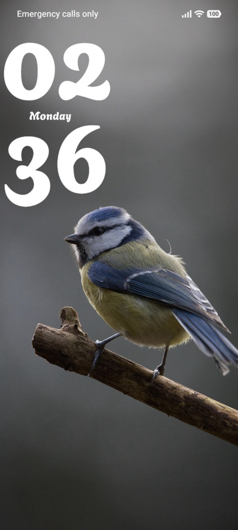 Sky Finch screenshot