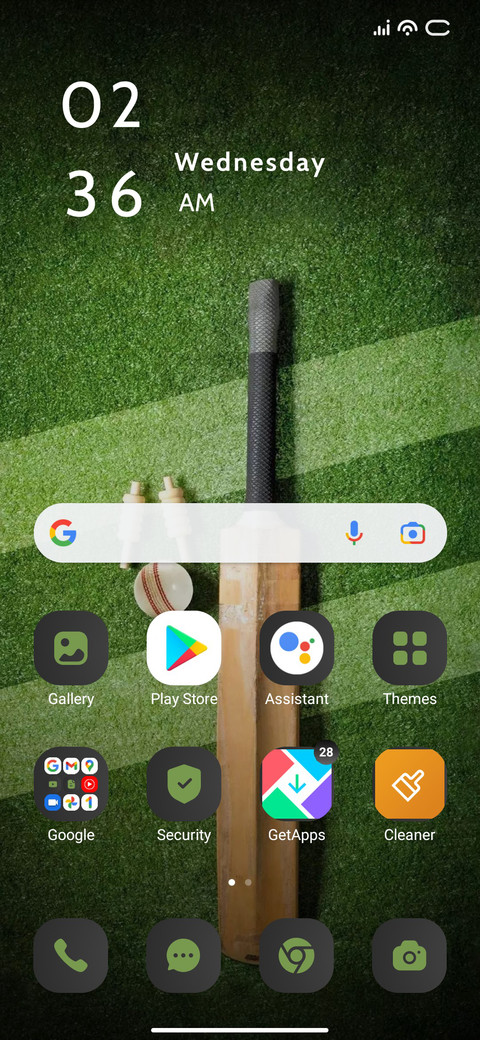 Bat Cricket screenshot