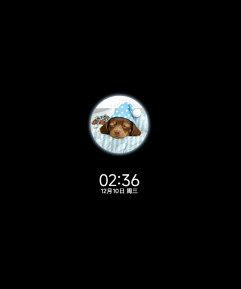 腊肠狗狗 好好睡觉 screenshot