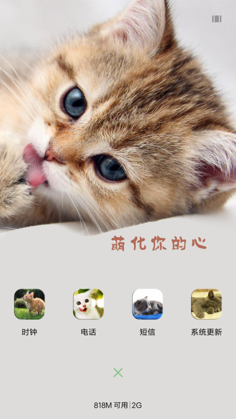 瞧，这萌猫 screenshot