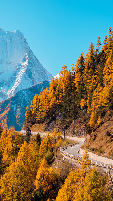 A direct flight to daocheng was dissuaded by altitude screenshot