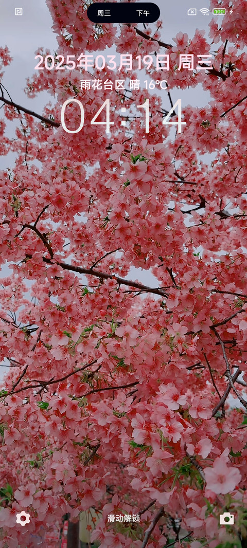 春花满园 screenshot