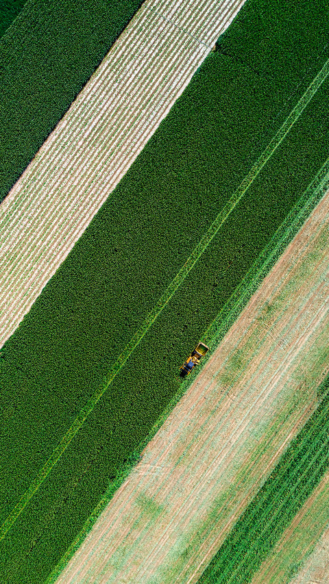 Many places have entered the harvest mode screenshot