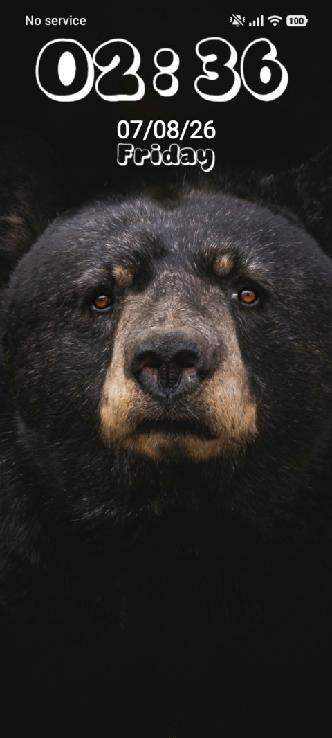 Bear screenshot
