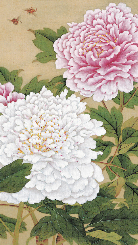 宫廷画家余樨的花鸟艺术 screenshot