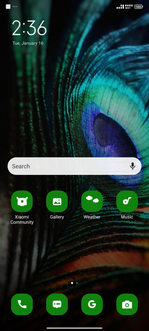 peacock feather screenshot
