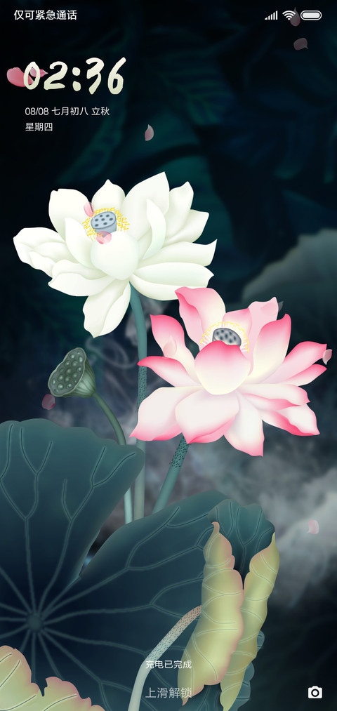 唯美古风荷塘夜色 screenshot