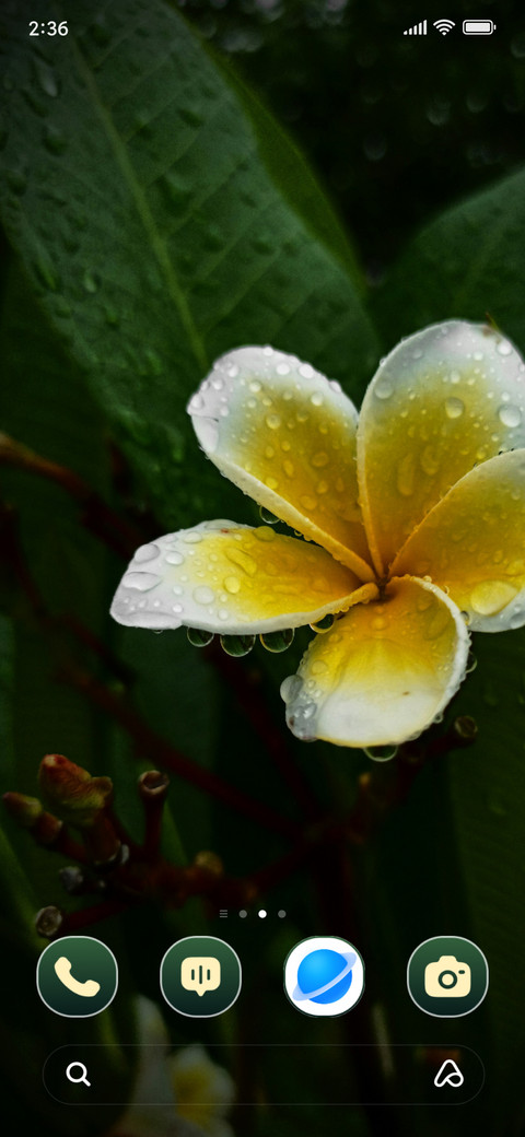 Dew Bloom screenshot