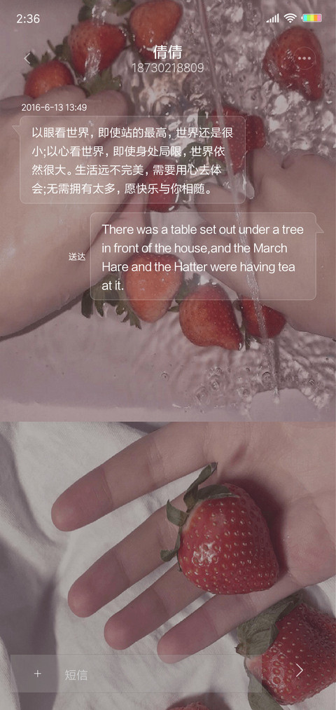 小清新夏日草莓G screenshot