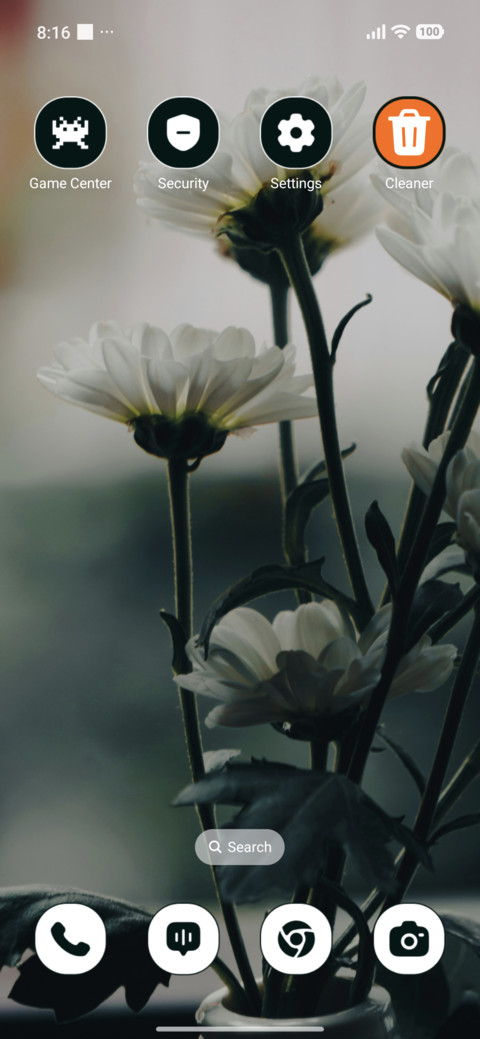 White Elegance screenshot