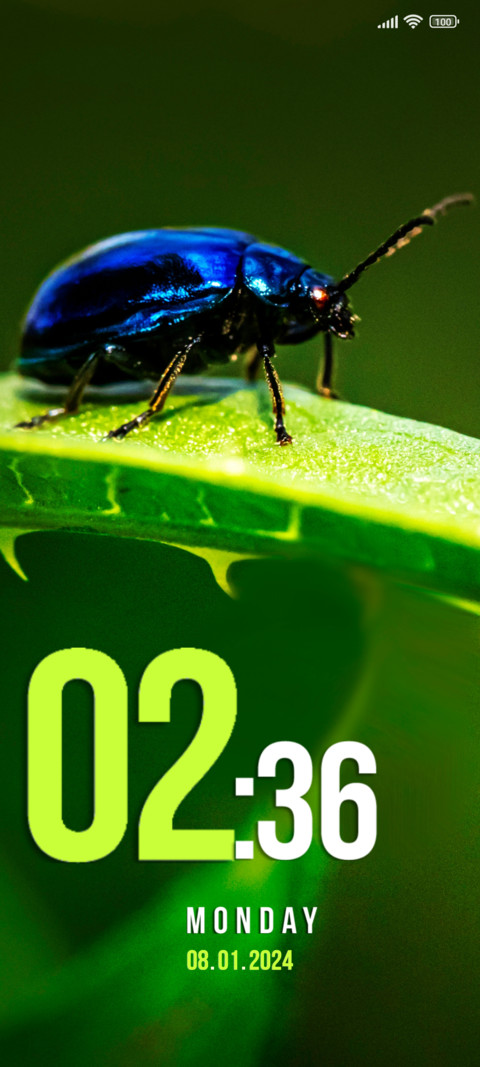leaves beetle screenshot