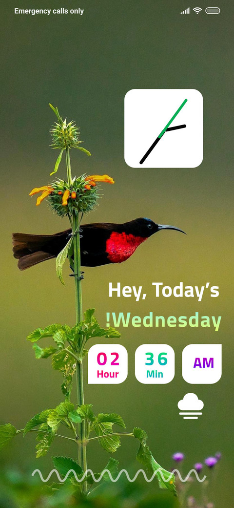 WildLife_6 screenshot