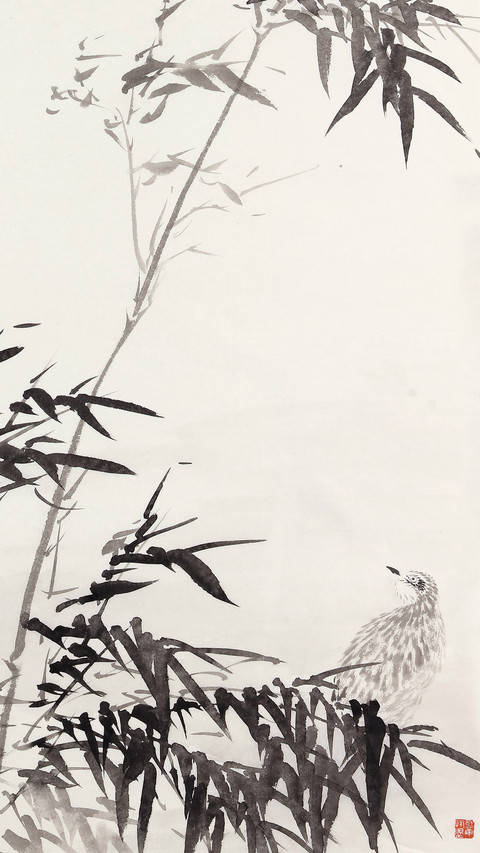 阴澍雨的自然温情 screenshot
