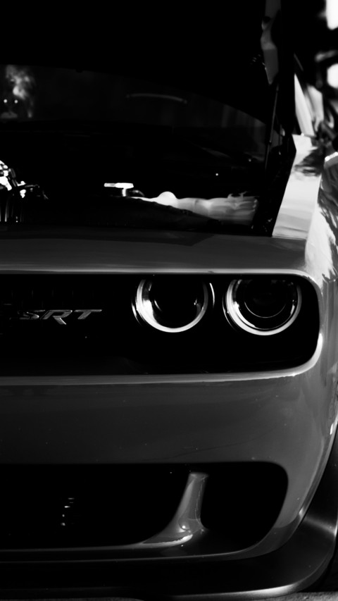 Cars and Bikes (14) screenshot