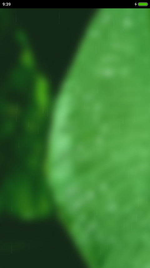 Banana Leaf TT screenshot