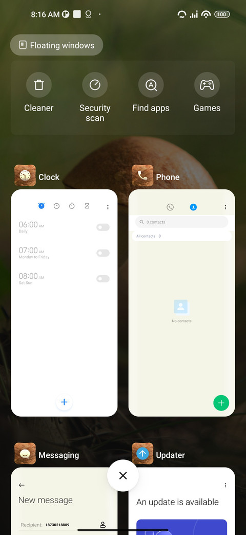 Birch screenshot
