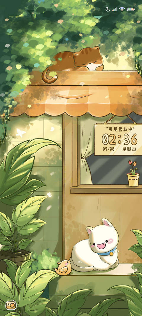午后阳光 治愈猫咪 screenshot