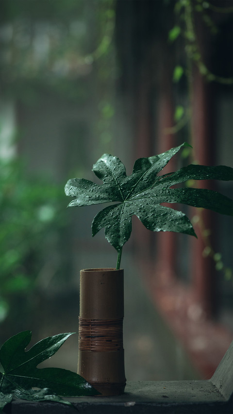 A small scene of a rainy summer day screenshot